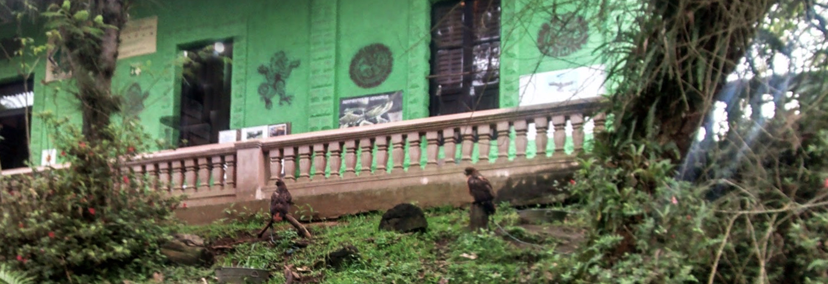 banner